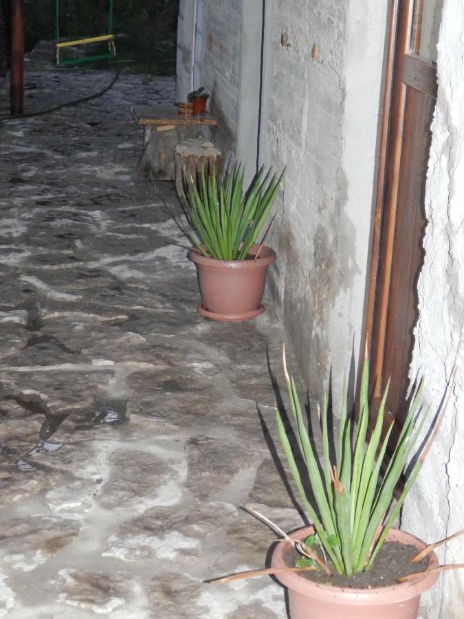 Arami Guest House Dilijan Exterior foto